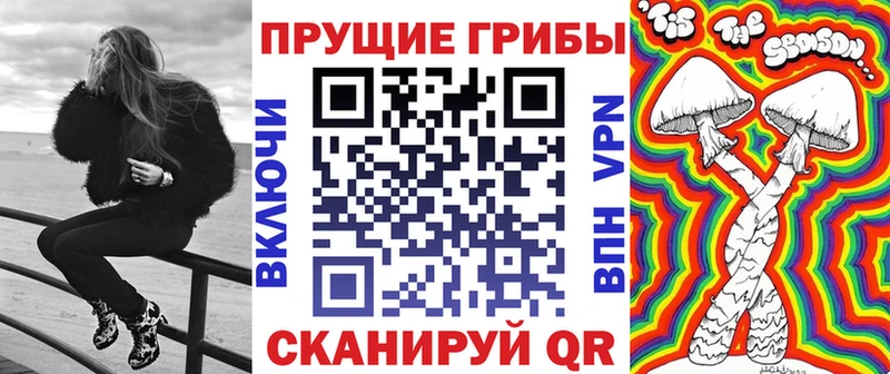 Купить где  Дербент  Псилоцибиновые грибы Psilocybine cubensis 